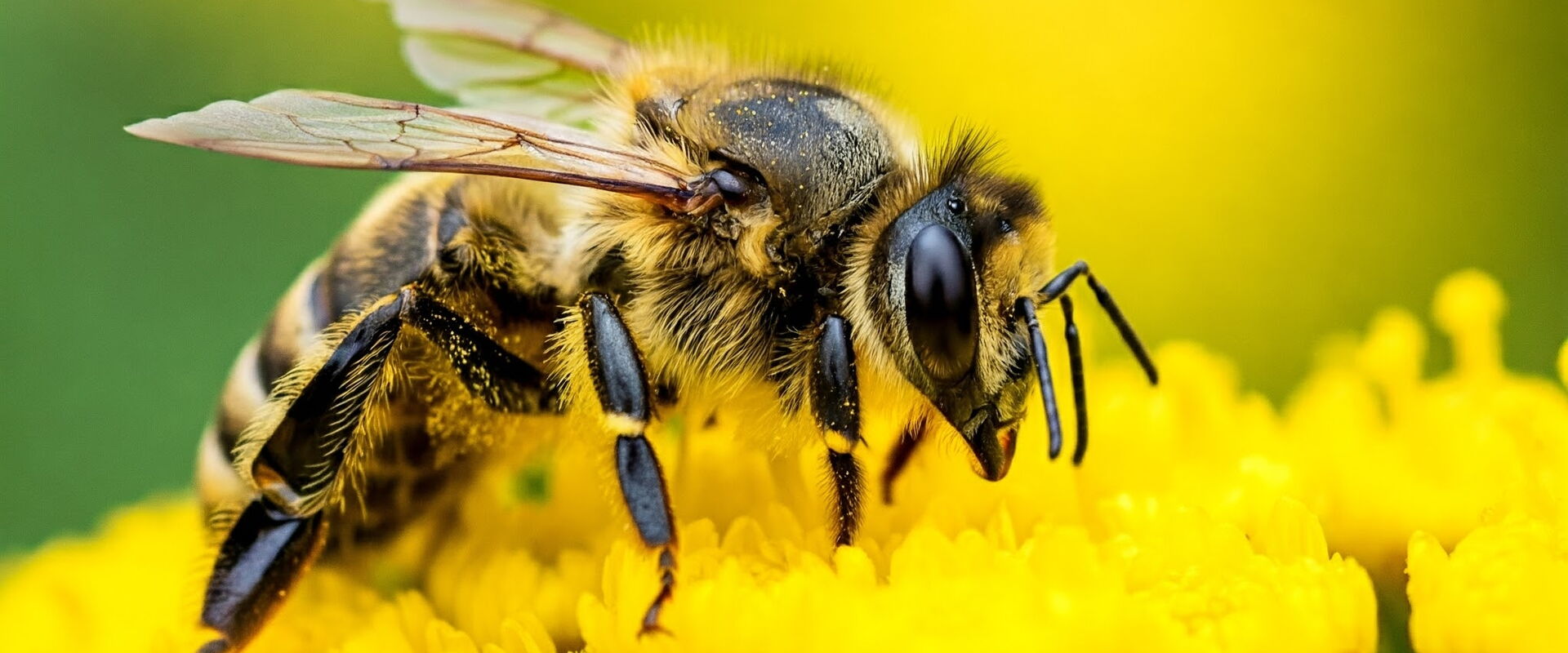 Gemini Generated Image